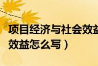 项目经济与社会效益（项目的经济效益和社会效益怎么写）