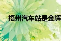 梧州汽车站是金辉车站吗（梧州汽车站）