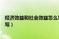 经济效益和社会效益怎么写简介（经济效益和社会效益怎么写）