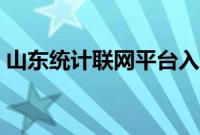 山东统计联网平台入口（山东省统计信息网）