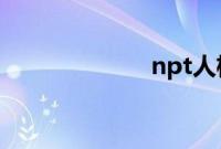 npt人格（NPT）