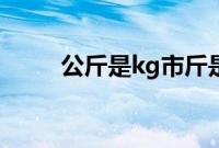 公斤是kg市斤是什么（公斤是kg）