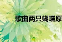 歌曲两只蝴蝶原唱（两只蝴蝶原唱）