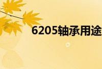 6205轴承用途（6205轴承参数）