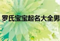 罗氏宝宝起名大全男孩（宝宝起名大全男孩）