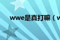 wwe是真打嘛（wwe是真打还是表演）