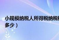 小规模纳税人所得税纳税标准（小规模纳税人所得税税率是多少）