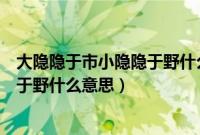 大隐隐于市小隐隐于野什么意思小视频（大隐隐于市小隐隐于野什么意思）