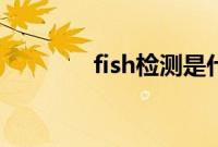 fish检测是什么（fish检测）