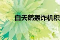 白天鹅轰炸机积木（白天鹅轰炸机）