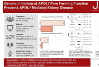 发现肾脏疾病基因也有保护性突变