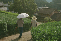 东京茶爱好者指南