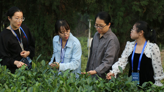 青岛茶产业大会推广现代茶业科技