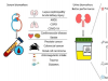 尿液生物标志物的表现优于血清生物标志物