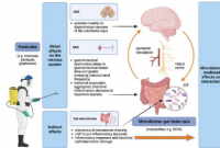 接触农药会导致肠道微生物组发生变化 从而增加患帕金森病的风险