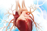 常规实验室测试可准确预测动脉粥样硬化 CVD