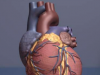 心脏药物可改善或稳定杜氏肌营养不良症患者的心脏功能