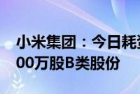 小米集团：今日耗资约4906.13万港元回购300万股B类股份