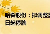 哈森股份：拟调整重大资产重组方案，7月17日起停牌