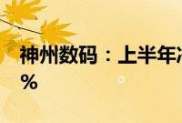 神州数码：上半年净利润同比预增15%—20%