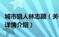 城市猎人林志颖（关于城市猎人林志颖的基本详情介绍）