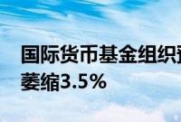 国际货币基金组织预计2024年阿根廷经济将萎缩3.5%