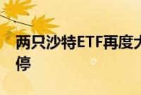 两只沙特ETF再度大涨，南方沙特ETF竞价涨停