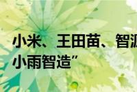 小米、王田苗、智源投资具身智能科技公司“小雨智造”