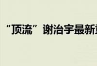 “顶流”谢治宇最新重仓股曝光，加仓半导体