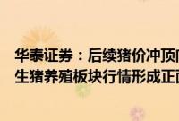 华泰证券：后续猪价冲顶向上、盈利弹性进一步释放有望对生猪养殖板块行情形成正面催化