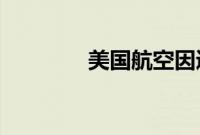 美国航空因通信问题而停飞