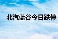 北汽蓝谷今日跌停，沪股通买入1.31亿元