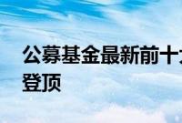 公募基金最新前十大重仓股出炉，“宁王” 登顶