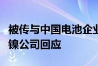 被传与中国电池企业洽谈合作建厂，俄罗斯诺镍公司回应