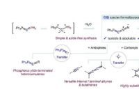 化学家开发出一种稳定的碳原子转移试剂