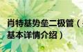 肖特基势垒二极管（关于肖特基势垒二极管的基本详情介绍）