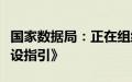 国家数据局：正在组织编制《数据基础设施建设指引》