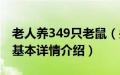 老人养349只老鼠（关于老人养349只老鼠的基本详情介绍）