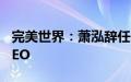 完美世界：萧泓辞任CEO，鲁晓寅辞任联席CEO