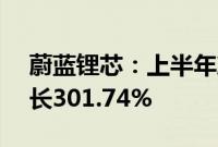 蔚蓝锂芯：上半年净利润1.67亿元，同比增长301.74%