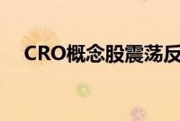 CRO概念股震荡反弹，康龙化成涨近7%