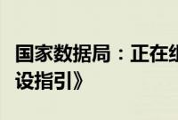 国家数据局：正在组织编制《数据基础设施建设指引》