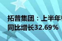 拓普集团：上半年归属母净利润14.52亿元，同比增长32.69%