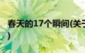 春天的17个瞬间(关于春天的17个瞬间的简介)