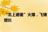 “北上避暑”火爆，飞猪：黑龙江、宁夏酒店预订量双位数增长