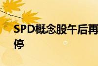 SPD概念股午后再度拉升，塞力医疗回封涨停