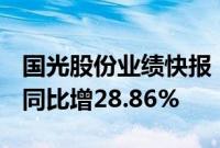 国光股份业绩快报：上半年净利润2.17亿元，同比增28.86%