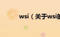 wsi（关于wsi的基本详情介绍）