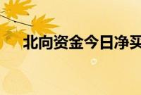 北向资金今日净买入紫金矿业5.46亿元