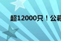 超12000只！公募基金产品数量创新高